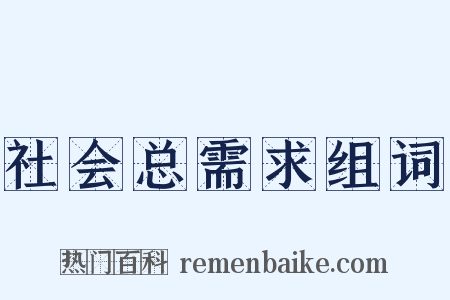 社会总需求组词是什么意思的图片